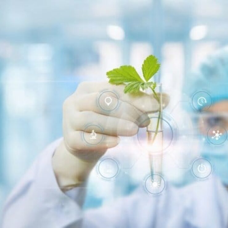 Le consortium ADN & Cosmétique accueille de nouveaux membres